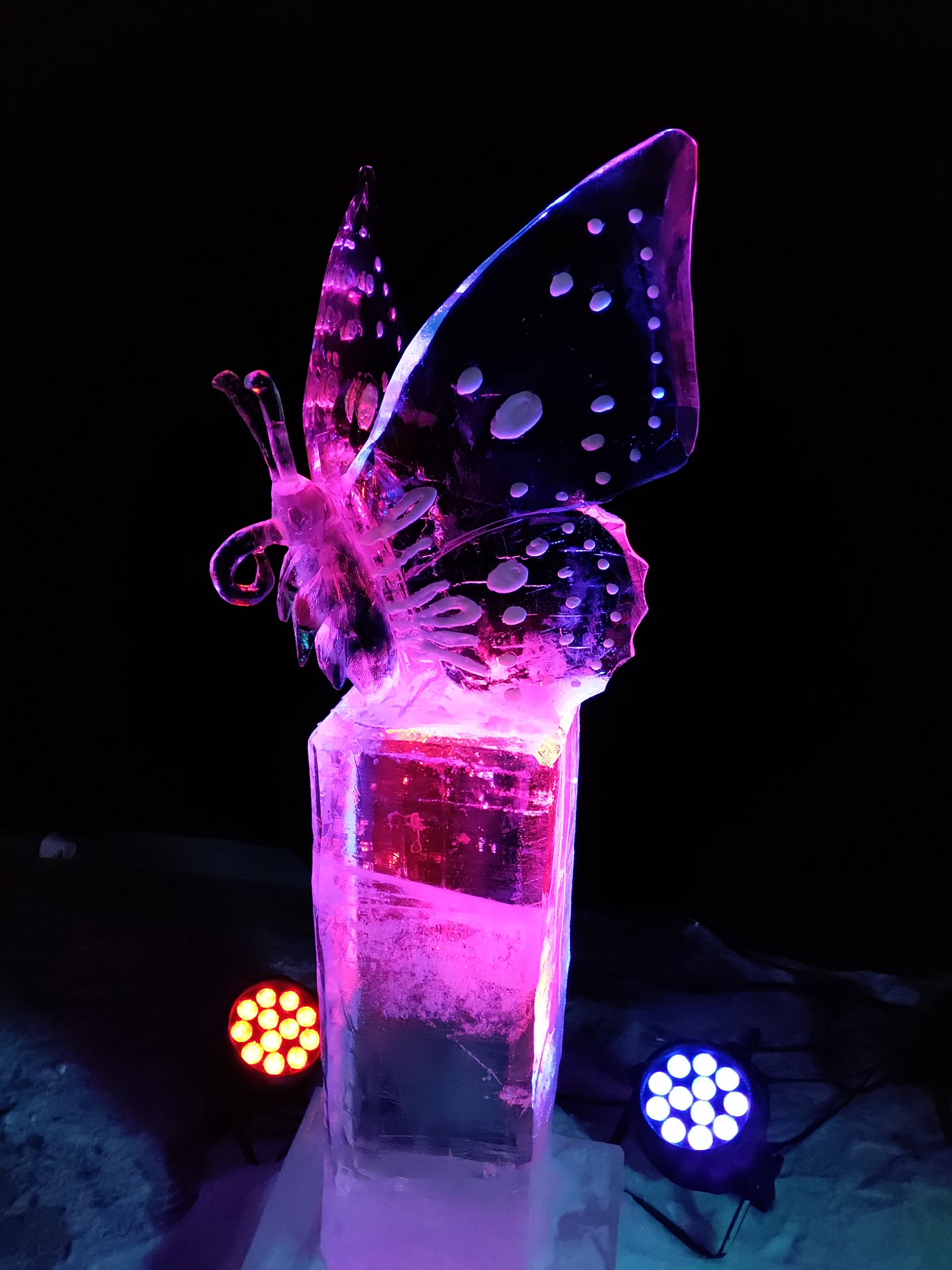 Ice Sculpture in Botania