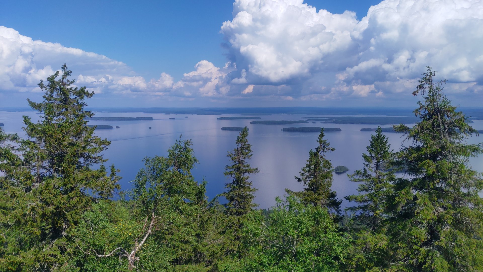 Koli National Park