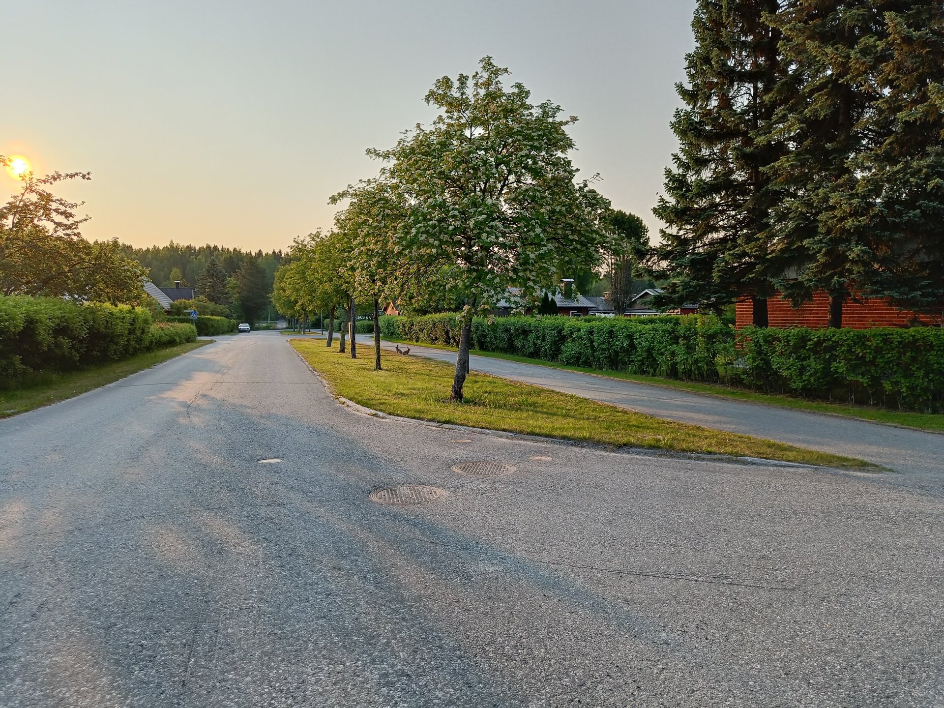 Hukanhauta Neighbourhood